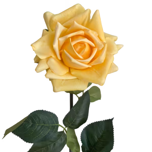 Soft Yellow Eva Real Touch Rose