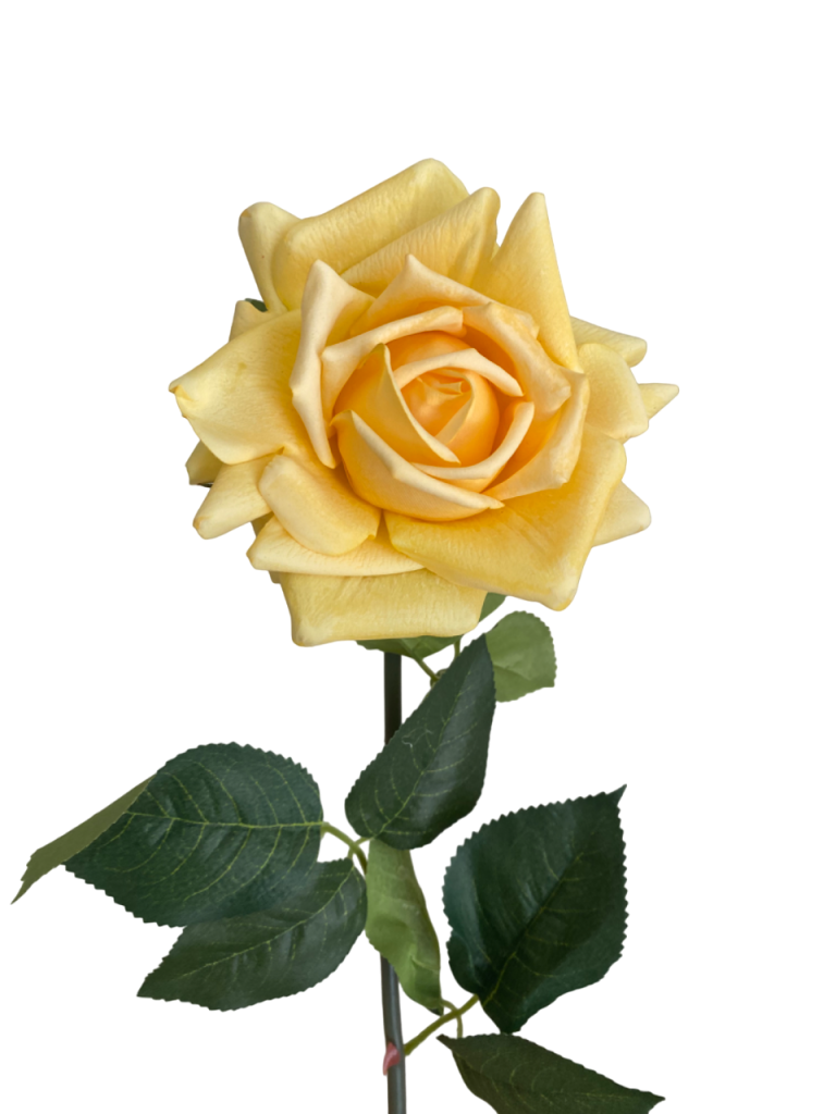Yellow Realistic Roses Soft Yellow Eva Real Touch Rose | Silk Studio