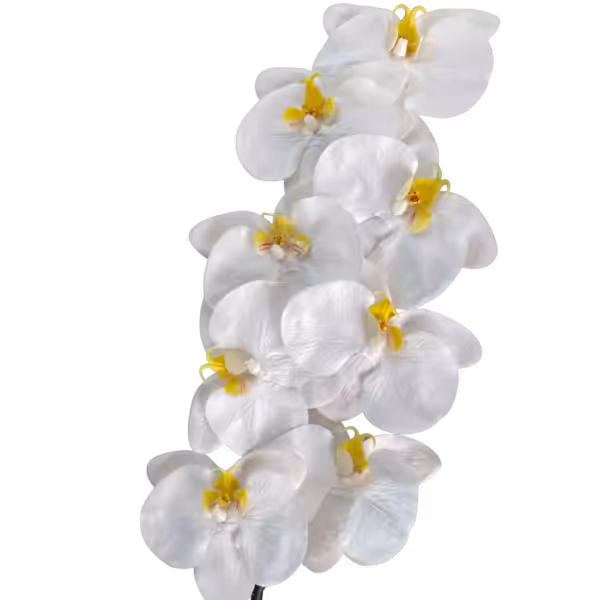White Alexia Luxe Real Touch 8-Head Orchid