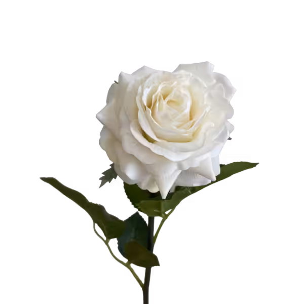 White Elena Real Touch Rose