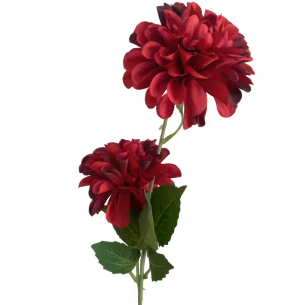 Wine Red Bronte Dahlia Spray