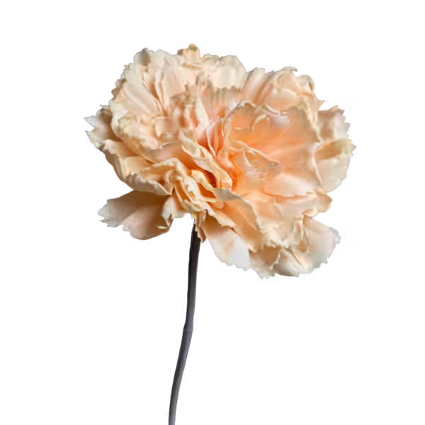Light Orange Lucy Real Touch Carnation