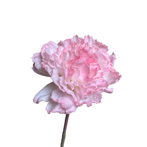 Soft Pink Fringe Lucy Real Touch Carnation