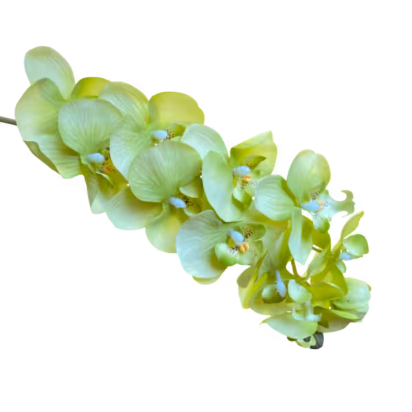 Lime Layla Real Touch 10-Head Orchid