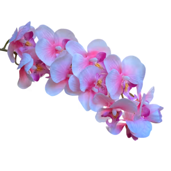 Pink Ombre Layla Real Touch Orchid