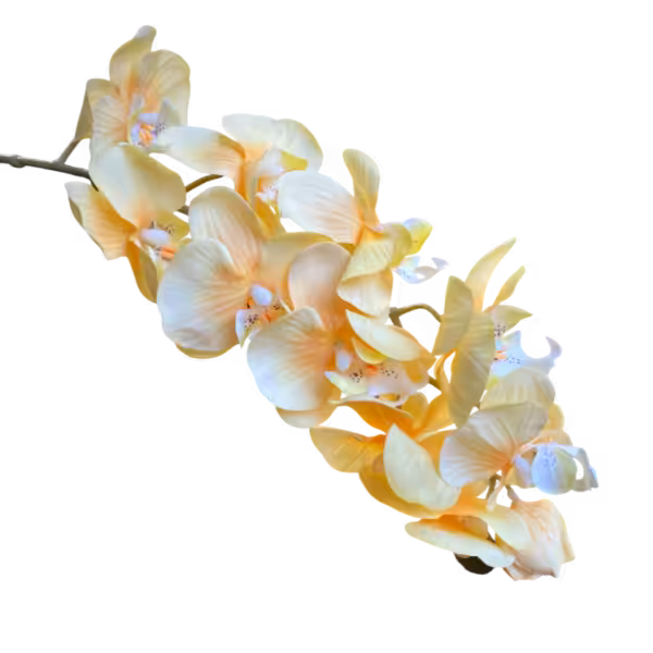 Yellow Layla Real Touch Orchid