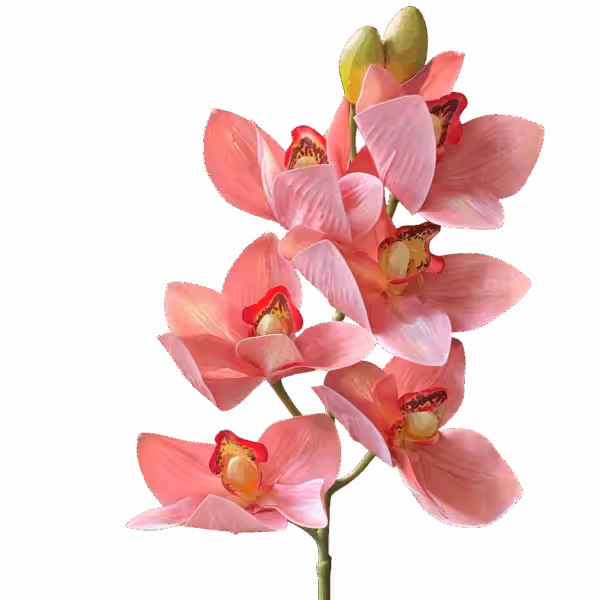 Pink Annabella Real Touch Cymbidium Orchid