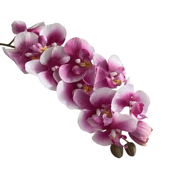 Purple Vein Layla Real Touch 10-Head Orchid