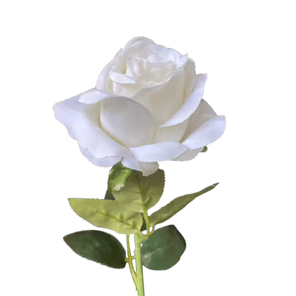White Louisa Silk Rose
