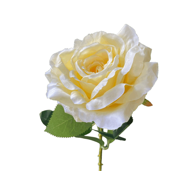 Soft Yellow Cali Large Head Silk Rose