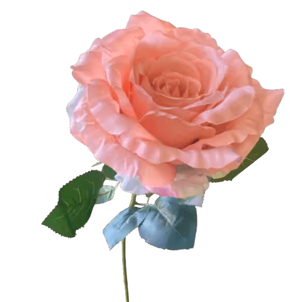 Peach Cali Large Head Silk Rose