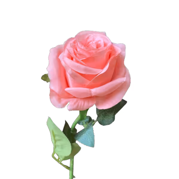 Pink Louisa Silk Rose
