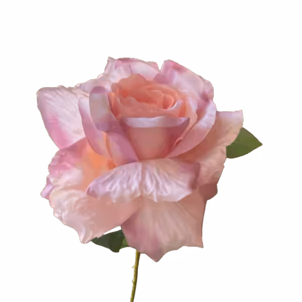 Pink Ombre Cali Large Head Silk Rose