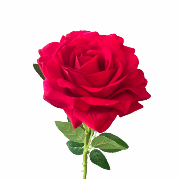 Red Paris Large Head Velvet Rose