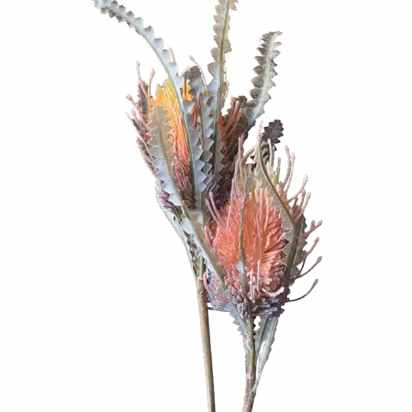 Pink Piper Real Touch Australian Banksia