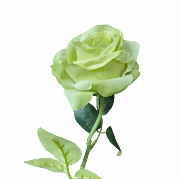 Light Green Louisa Silk Rose