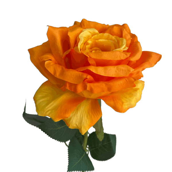 Orange Cali Large Head Silk Rose