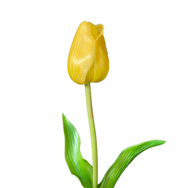 Yellow Liana Real Touch Tulip