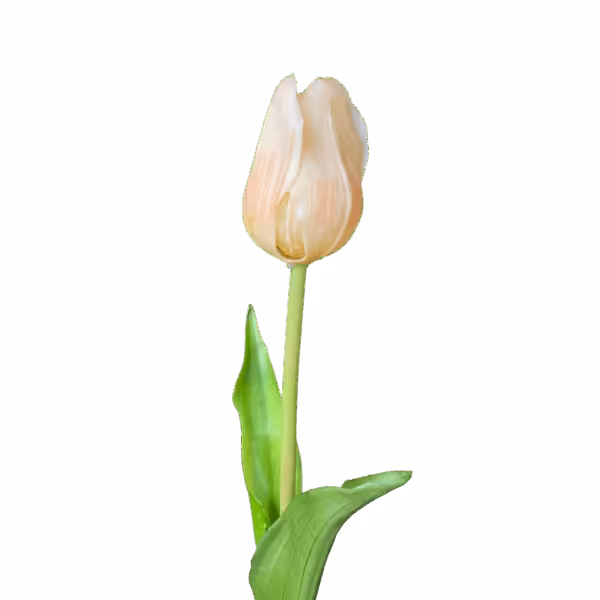 Champagne Liana Real Touch Tulip