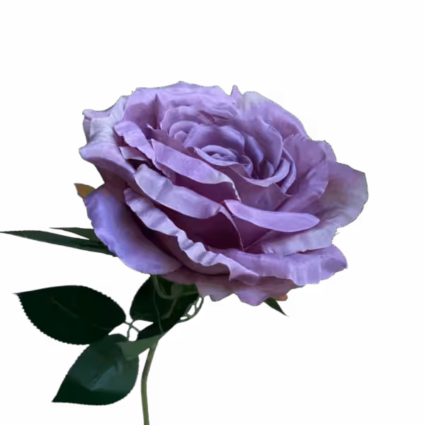 Mauve Cali Large Head Silk Rose