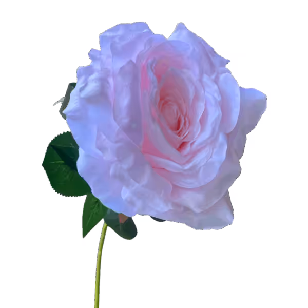 Pastel PinkCali Large Head Silk Rose