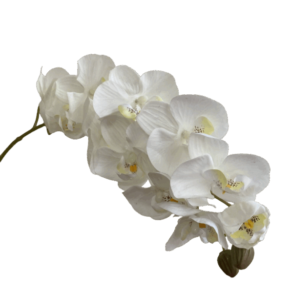White Layla Real Touch 10-Head Orchid