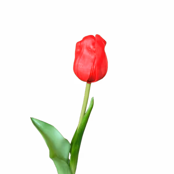 Red Liana Real Touch Tulip