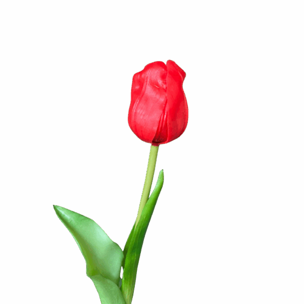 Red Liana Real Touch Tulip