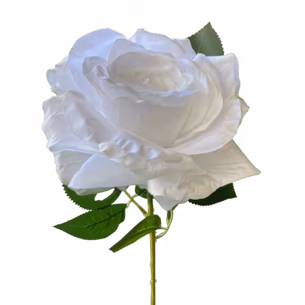 White Cali Large Head Silk Rose