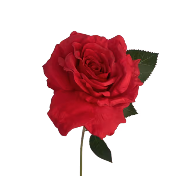 Red Cali Large Head Silk Rose
