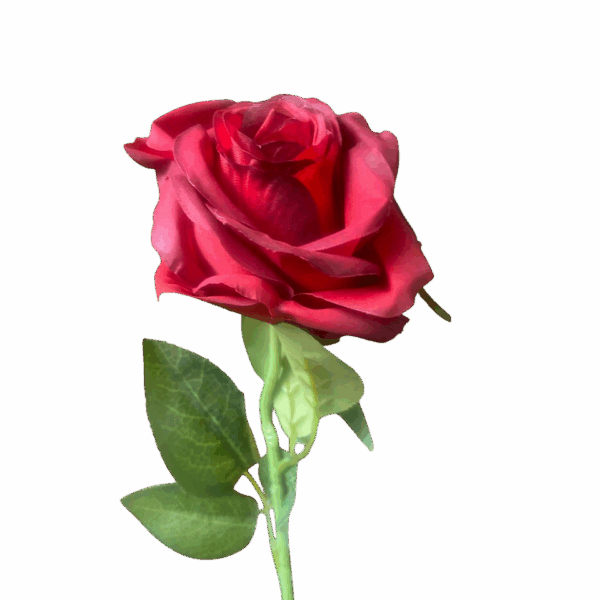 Red Louisa Silk Rose