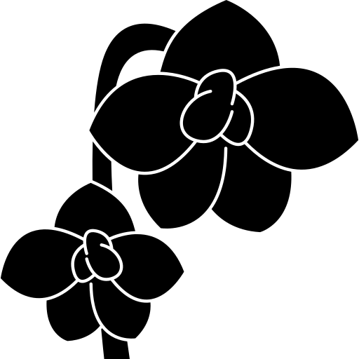Artificial Delphinium Flowers icon