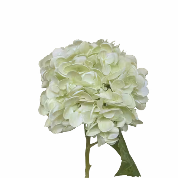 Light Green Misha Real Touch Hydrangea Stem