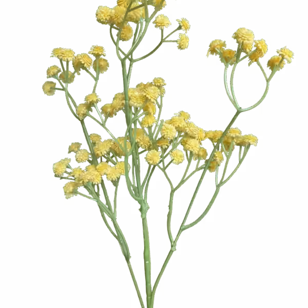 Yellow Brianna Baby Breath