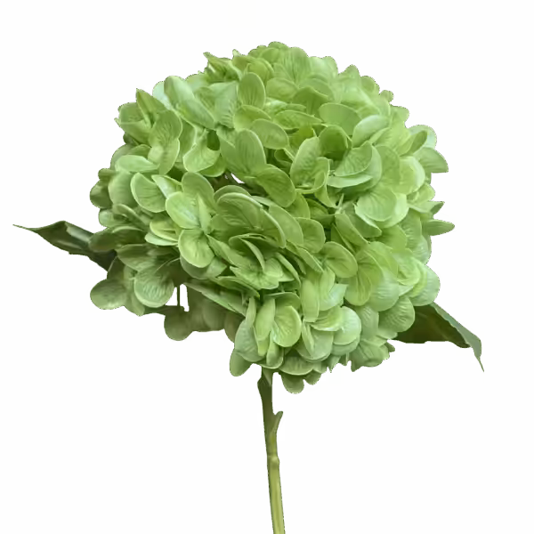 Green Misha Real Touch Hydrangea Stem