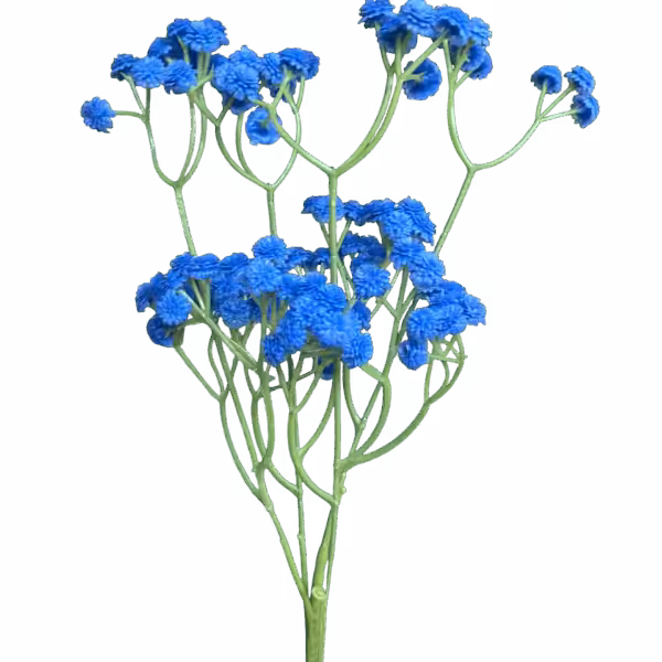 Blue Brianna Baby Breath