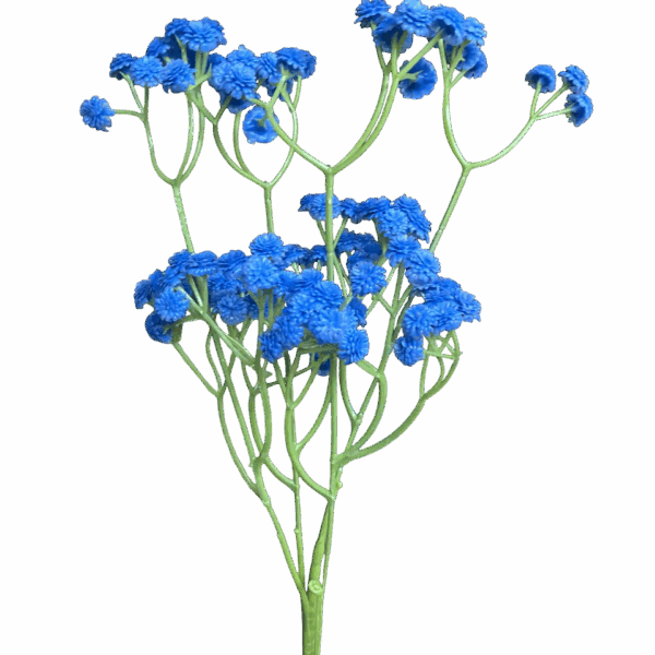 Blue Brianna Baby Breath