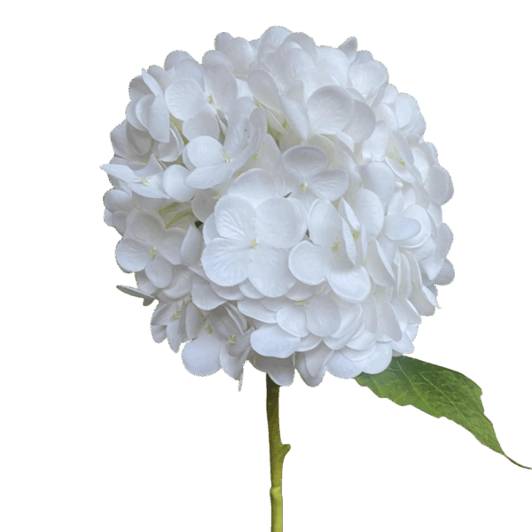 White Misha Real Touch Hydrangea Stem