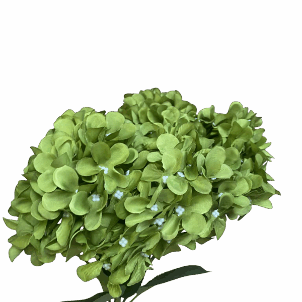 Green Marie 5- Head Hydrangea Bunch