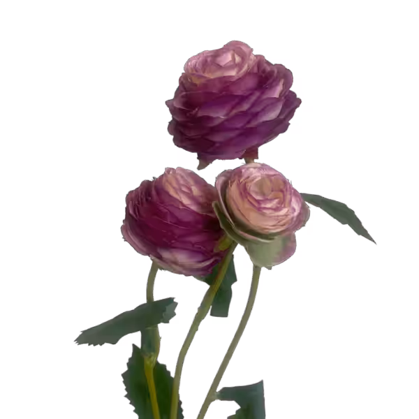 Purple Alicia Ranunculus Spray