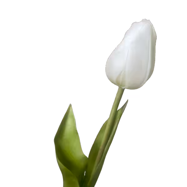 White Liana Real Touch Tulip