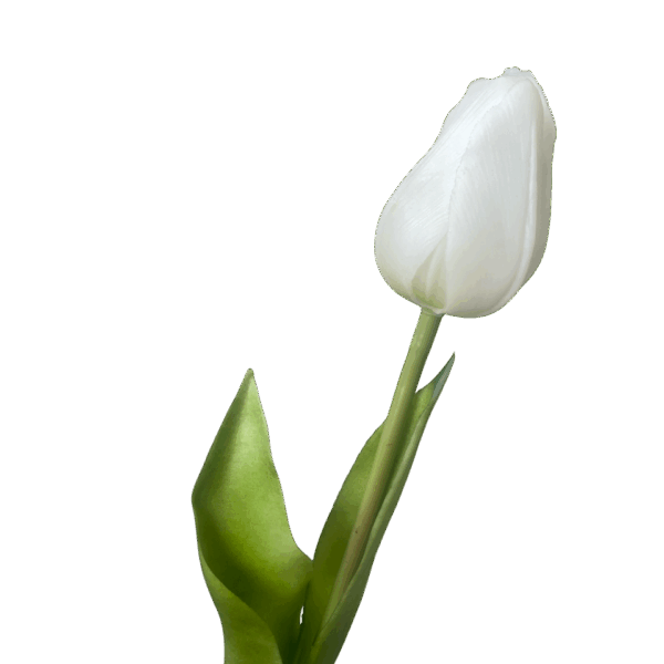 White Liana Real Touch Tulip