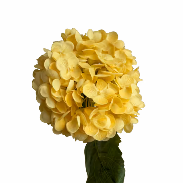 Yellow Misha Real Touch Hydrangea Stem
