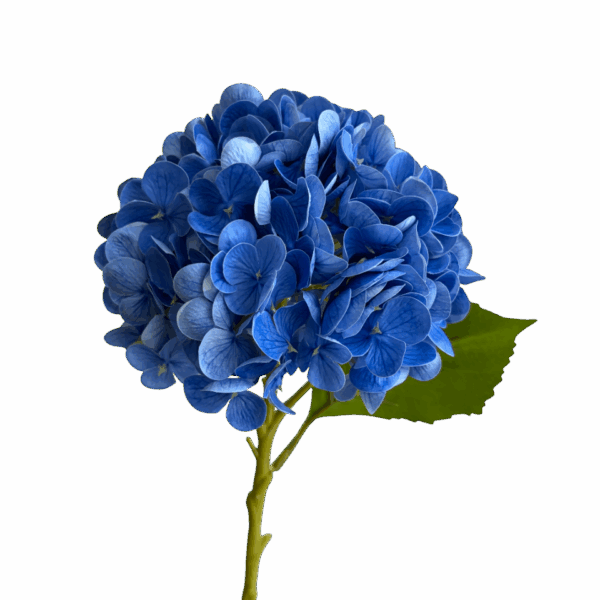Blue Misha Real Touch Hydrangea Stem