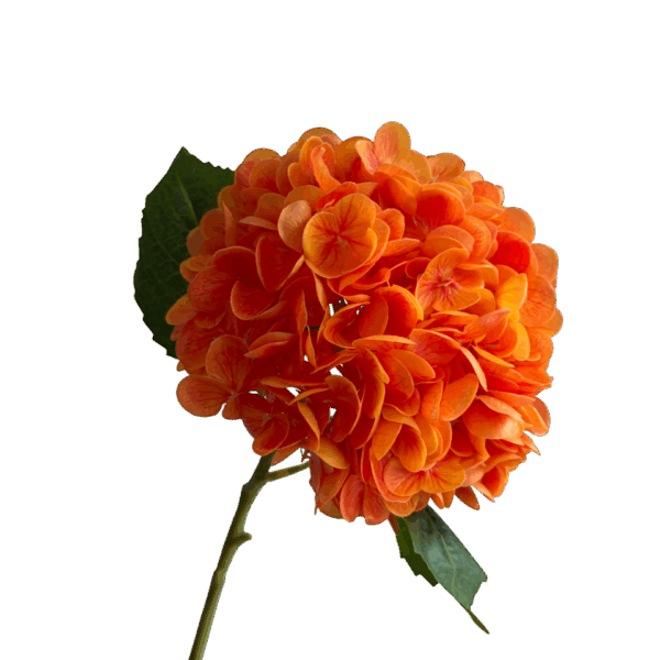 Orange Misha Real Touch Hydrangea Stem