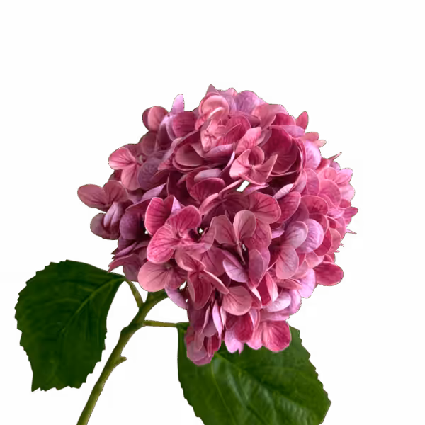 Pink Misha Real Touch Hydrangea Stem
