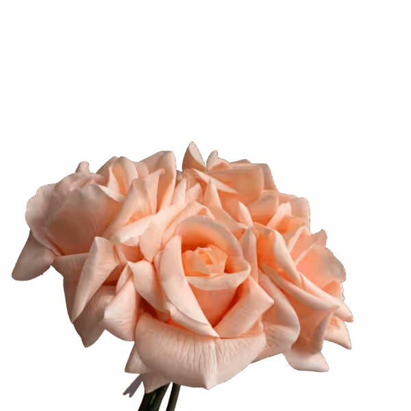 Peach Capri Real Touch Rose Bunch