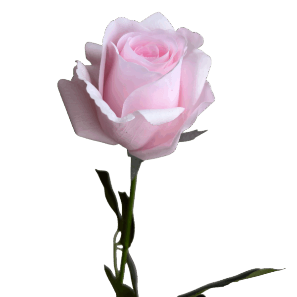 Pastel Pink Emma Real Touch Rose Bud