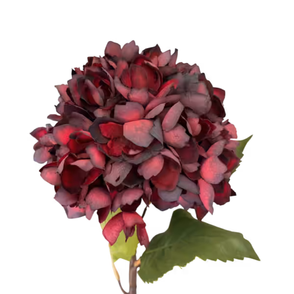 Burgundy Zuri Hydrangea Stem