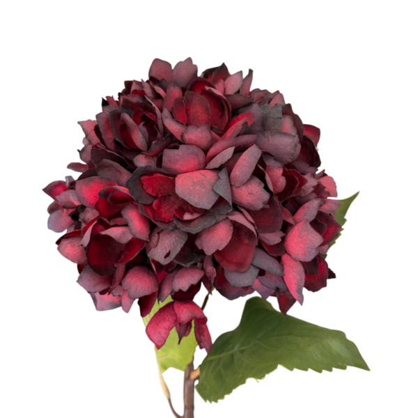 Burgundy Zuri Hydrangea Stem